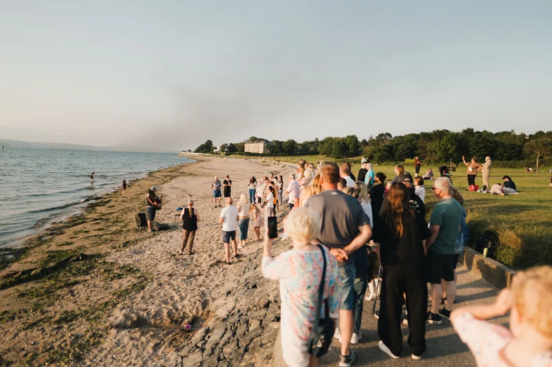 a crowd of people watching a firework display at a beach in ireland