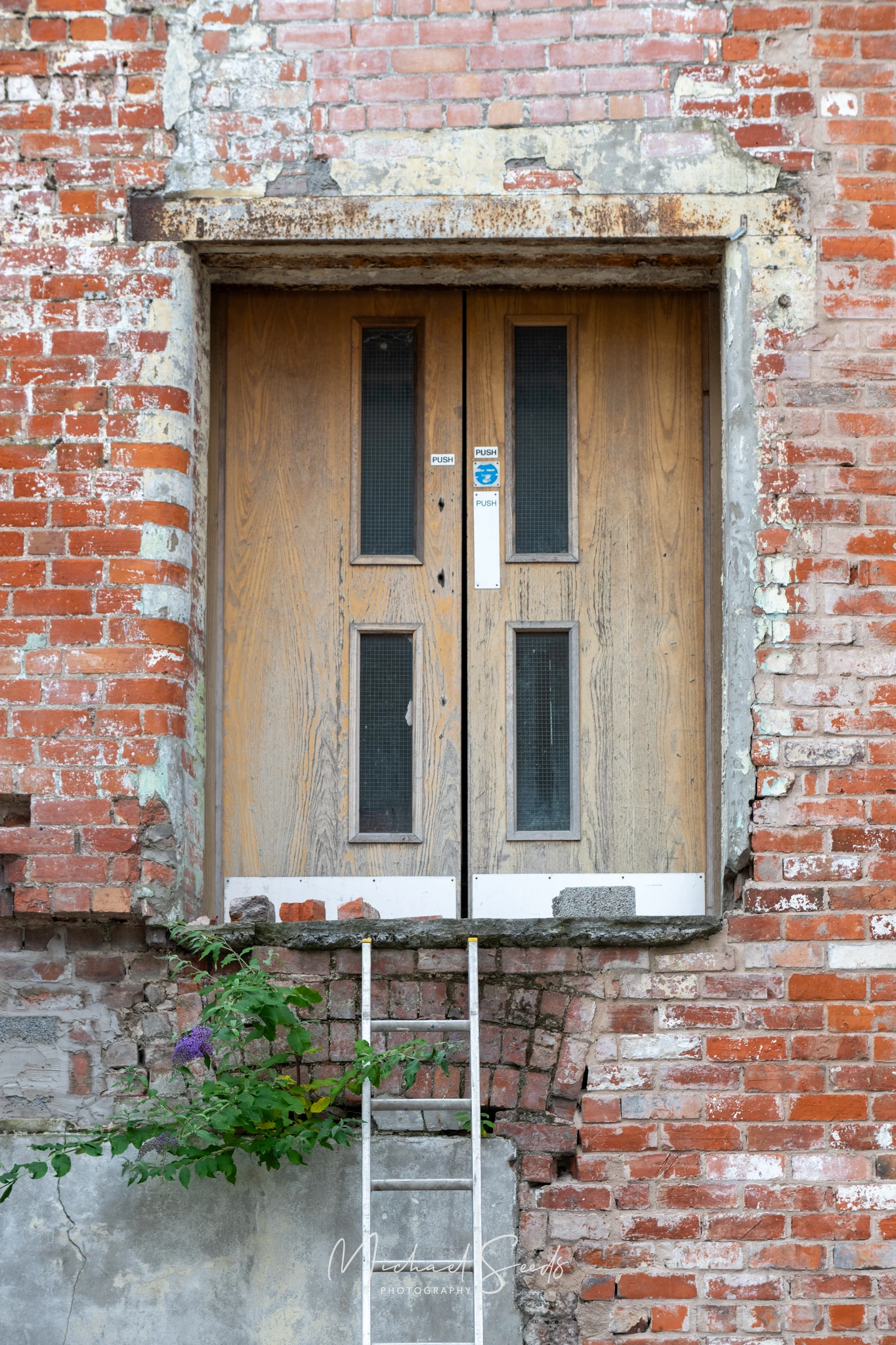 A weathered doorway remains suspended above cracked brickwork, unreachable except by a forgotten ladder and overgrown blooms.