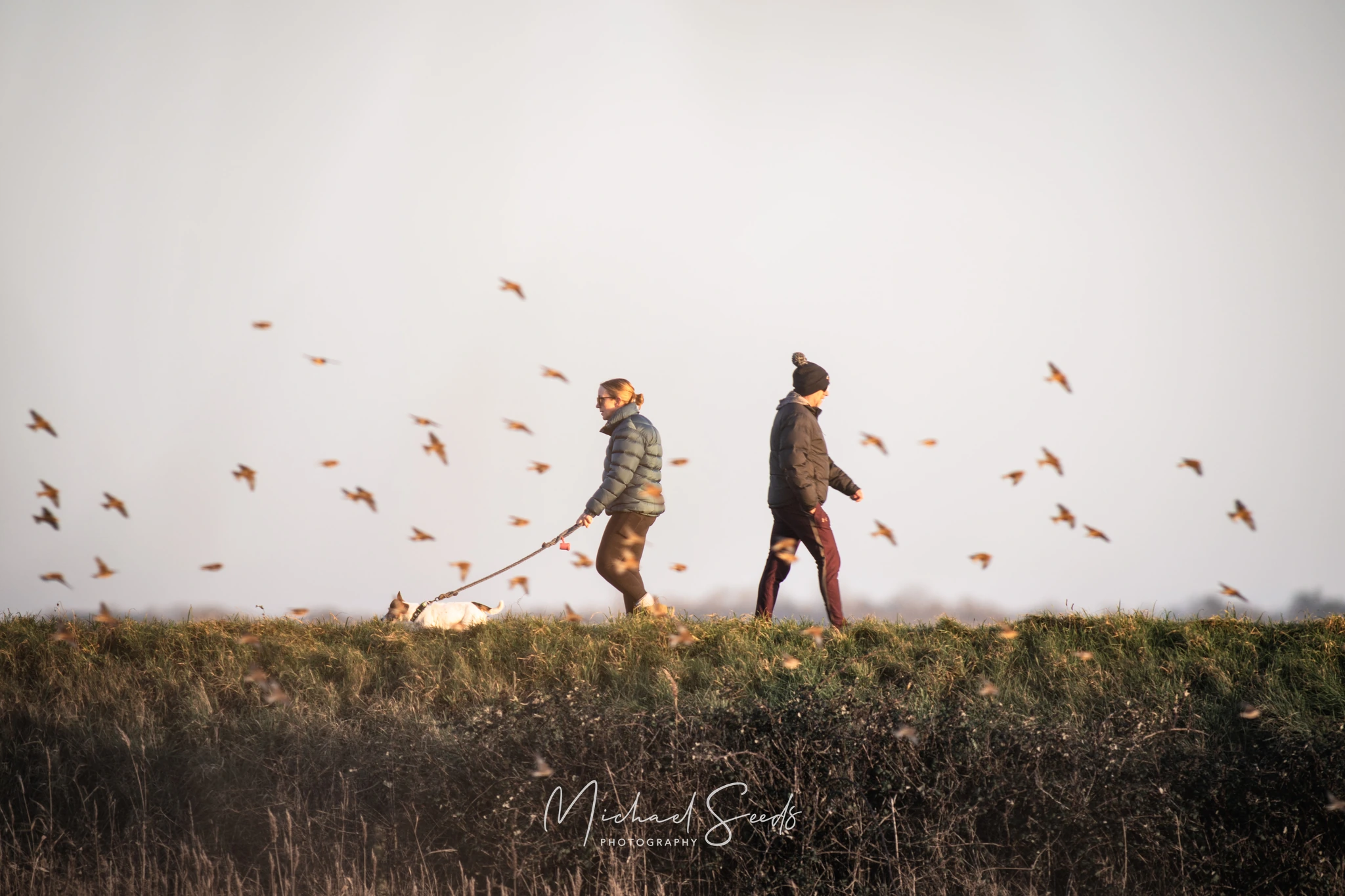 a man and woman walking through a field with birds flying around them
