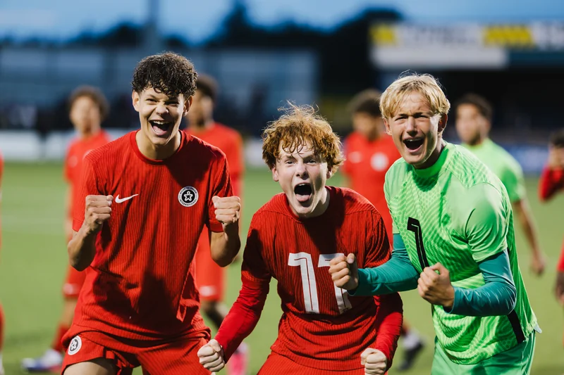a group of soccer players celebrate after scoring a goal on the field